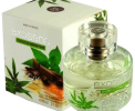parfum CHOCO MENTHE